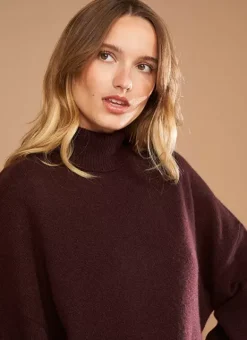 Pull Col Montant, 100% Cachemire Marron Monpran Sud Express