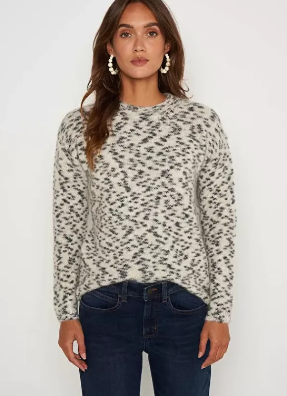 Pull Imprime Leopard Ecru Mena Sud Express